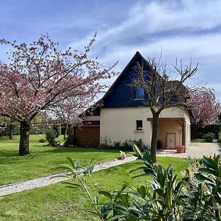 Sakura * Beaumont-en-Auge